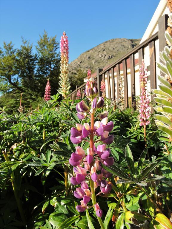 Hosteria El Pilar El Chaltén Eksteriør billede